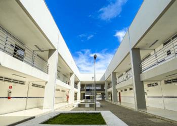 Seciteci abre inscrições para cursos gratuitos do programa Bioeconomia