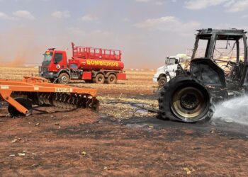 Bombeiros fazem vistoria em área de vegetação de fazenda após incêndio