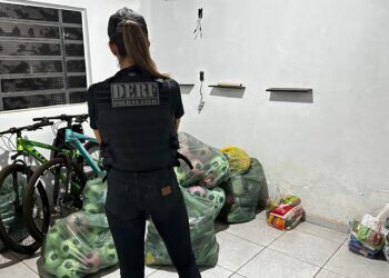 Investigação apurou que associação foi criada para promover organização criminosa e candidato a vereador