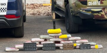 Ação integrada apreende 27 quilos de drogas avaliada em R$ 600 mil em General Carneiro