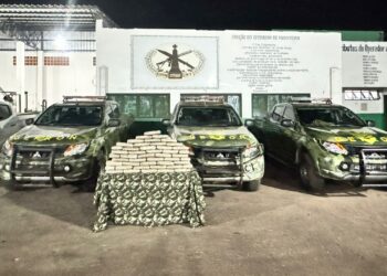 Gefron apreende 50 tabletes de skank e causa prejuízo ao crime de R$ 150 mil