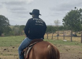 Polícias Civil e Militar prendem homem por furto de gado em Ribeirão Cascalheira e recuperam animais