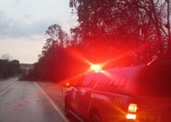 Corpo de Bombeiros realiza corte de árvores que interditavam a BR-070