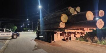 Polícia Militar prende homem por extração ilegal de madeira em Nova Monte Verde