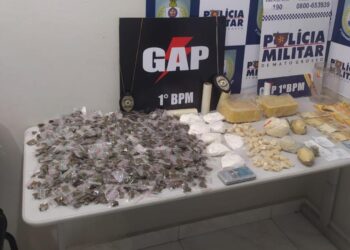 PM apreende 951 porções de entorpecentes e prende homem por tráfico de drogas