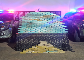 Gefron apreende 190 tabletes de entorpecentes avaliados em R$ 3,3 milhões