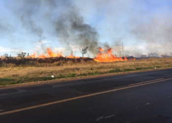 Bombeiros combatem vários focos de incêndio no Distrito Industrial em Uberlândia; veja vídeo