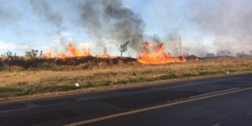 Bombeiros combatem vários focos de incêndio no Distrito Industrial em Uberlândia; veja vídeo