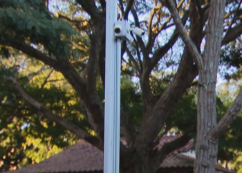 Um ano após anúncio, videomonitoramento no Parque do Sabiá em Uberlândia segue sem conclusão