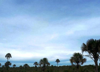 Umidade relativa do ar pode chegar a 20% em cidades do Triângulo Mineiro e Alto Paranaíba