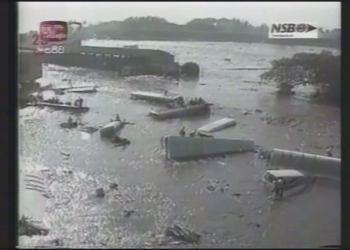 Mistério sobre animais que teriam pressentido tsunami de 2004 ainda intriga especialistas; entenda