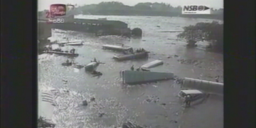 Mistério sobre animais que teriam pressentido tsunami de 2004 ainda intriga especialistas; entenda