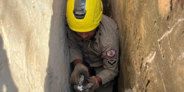 Corpo de Bombeiros reforça importância de adotar medidas preventivas durante período de chuvas