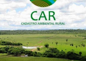 Senado rejeita mudanças no Código Florestal e reforça prazos do CAR