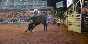 Inauguração do museu da APA, rodeio e show de Bruno e Marrone abrem a 35ª Expoari em Ariquemes, RO