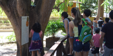 Semana de férias em museu de Macapá terá recreação, jogos e oficinas para as crianças