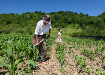 Governo anuncia pacote de renegociação de dívidas e apoio a agricultores