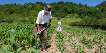 Governo anuncia pacote de renegociação de dívidas e apoio a agricultores
