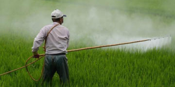 Países precisam de leis contra impacto de químicos e tóxicos a mulheres e meninas, diz relator