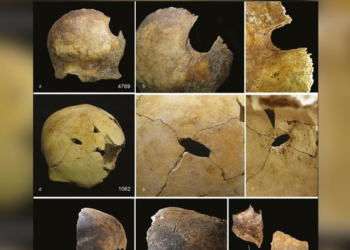 O misterioso canibalismo na Idade do Bronze britânica