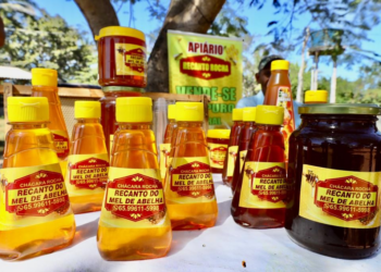 Prefeitura de Cuiabá entrega primeira unidade móvel da Casa do Mel no sábado (21)