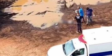 Homem é morto a pauladas em madeireira; vídeo