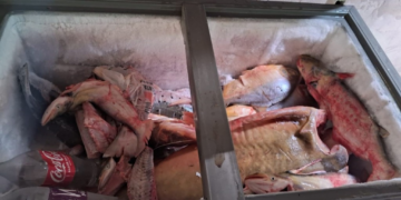 Sema apreende 81 quilos de pescado durante operação no Rio Vermelho em Rondonópolis