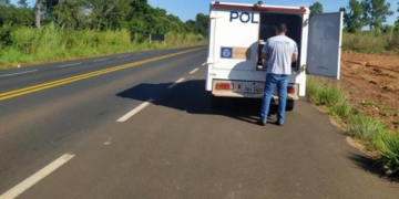 Corpo é encontrado em plantação às margens da BR-364