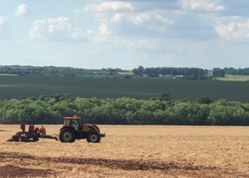 MS dá prazo para declaração da área plantada de soja