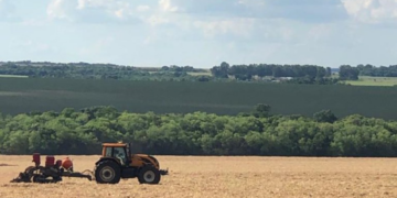 MS dá prazo para declaração da área plantada de soja