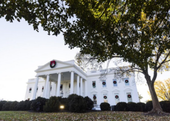 Contrarrevolução: como eliminar o racialismo da esquerda do governo federal