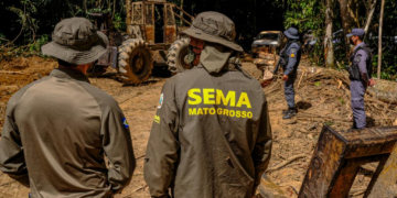 Sema deflagra 298 operações e aplica R$ 1,6 bilhão em multas contra crimes ambientais em 2024