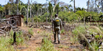 Sema deflagra 298 operações e aplica R$ 1,6 bilhão contra crimes ambientais em 2024