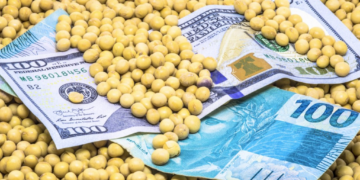 Mercado da soja inicia 2025 com estabilidade nos preços