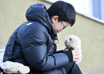 'Alguém para compartilhar momentos felizes': chineses buscam apoio emocional em pets de IA