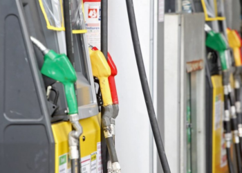 Sancionada lei que remunera produtor de cana por créditos de descarbonização