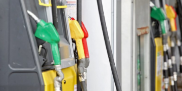 Sancionada lei que remunera produtor de cana por créditos de descarbonização