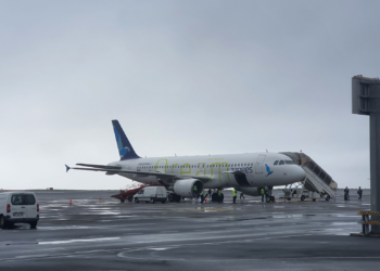 Avião atinge bando de gaivotas ao decolar, tem os dois motores danificados e faz pouso de emergência em Portugal, diz site