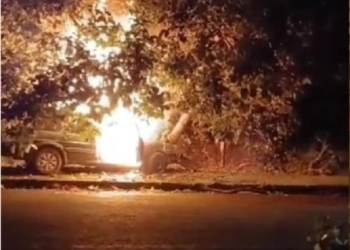 Idoso bate carro em árvore e morre; veja vídeo