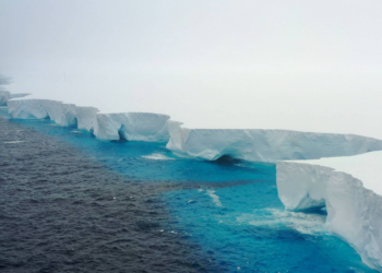 Fragmento de 19 km de comprimento se desprende do maior iceberg do mundo