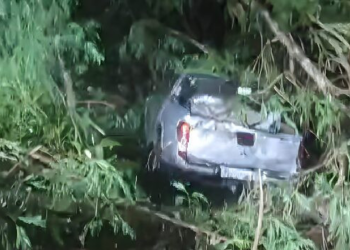 Motorista derruba ponto de ônibus e veículo vai parar em matagal; vídeo