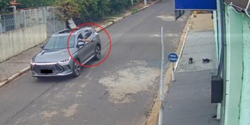 Homem em carro atira contra gatos e pombos em Cuiabá; veja o vídeo