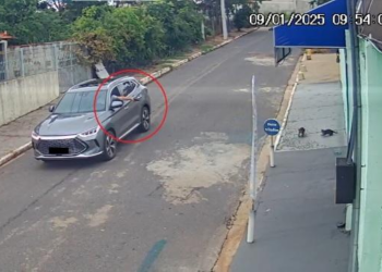 Homem filmado apontando arma para gatos é ouvido na delegacia e liberado
