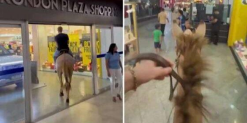 Polícia indicia influenciador que entrou com mula em shopping