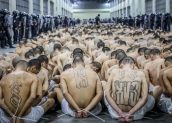 Trump pode mesmo enviar americanos que cometeram crimes a prisão em El Salvador?