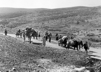 'Não será um novo Nakba'; relembre o êxodo histórico de palestinos após a guerra de 1948