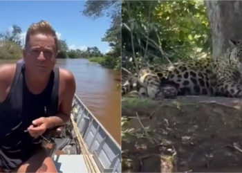 Vídeo: Leonardo dá de cara com onça-pintada