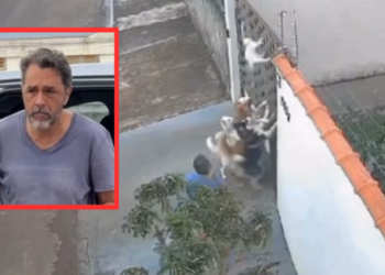 Juiz concede liberdade a tutor de cachorros, mas condiciona soltura ao pagamento de fiança de R$10 mil