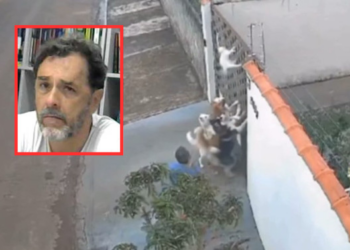 Homem que deixou cães matarem gato alega ter "chip de alienígenas" na cabeça