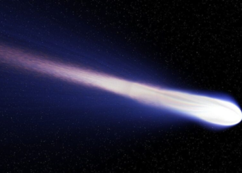 Vida é o que acontece enquanto estamos discutindo política